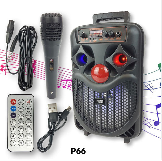 Bluetooth karaoke zvučnik P66